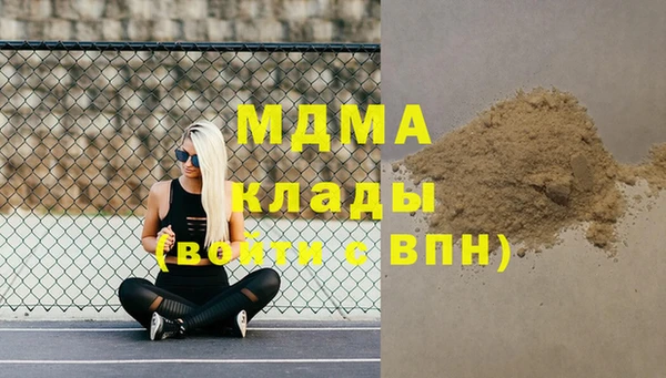 СК Алексин