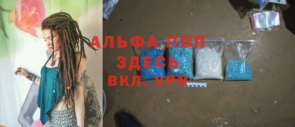 СК Алексин