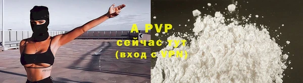 СК Алексин