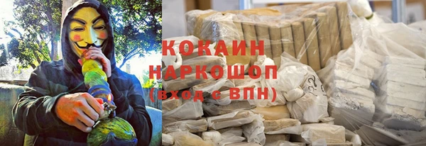 СК Алексин