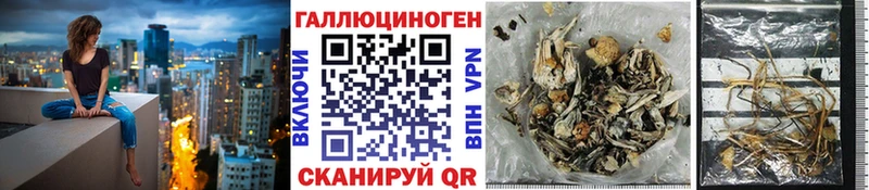 Псилоцибиновые грибы Cubensis  Котово 